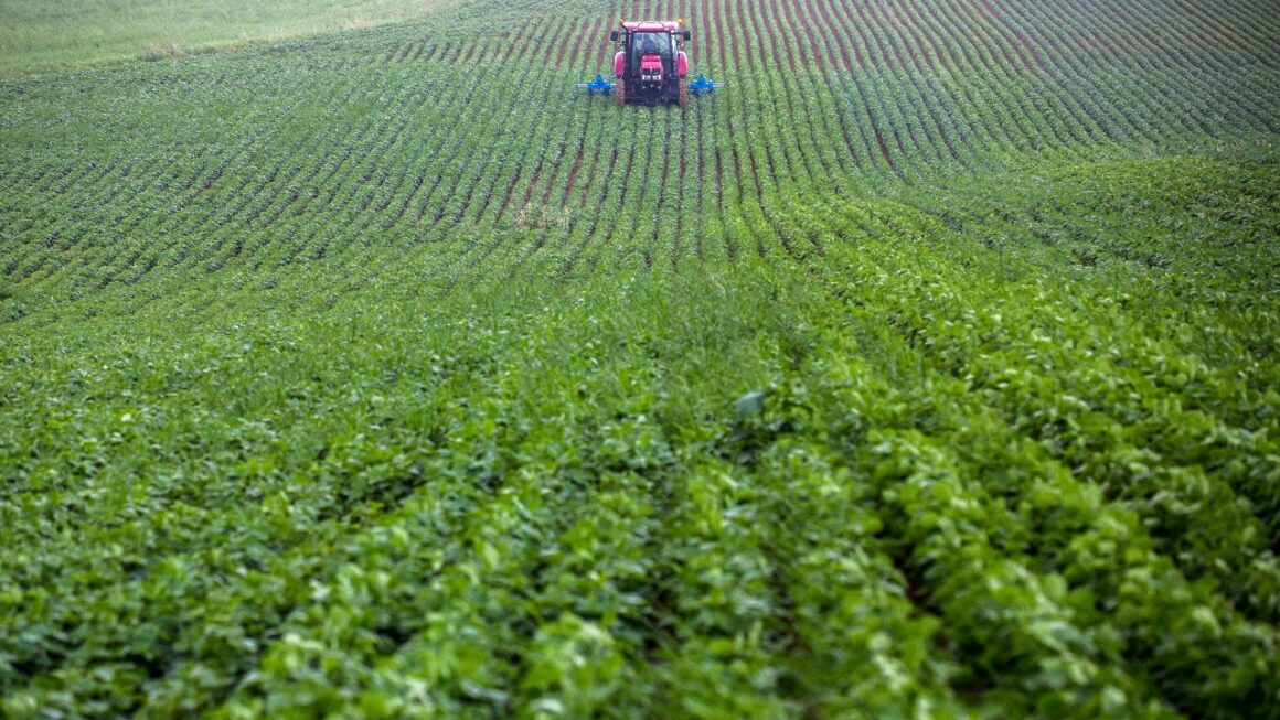 PAC : les principaux points pour verdir l’agriculture de l’UE PAC : les principaux points pour verdir l’agriculture de l’UE