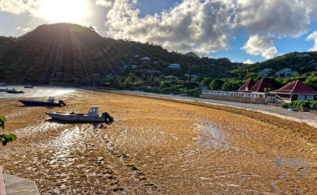Saint-Barthélemy face au climat : les mesures qui s’imposent