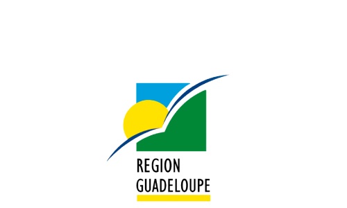 Région : Services réguliers de transports scolaires – Lot n°15 : Désirade – Basse Terre