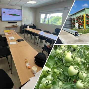 Photomontage : à gauche la salle de l’atelier « de la parcelle à Lizin Santral » le 13 avril 2026 au Moule ; en haut à droite l’extérieur de l’usine agroalimentaire Lizin santral. Photo : LCG DR Photomontage : à gauche la salle de l’atelier « de la parcelle à Lizin Santral » le 13 avril 2026 au Moule ; en haut à droite l’extérieur de l’usine agroalimentaire Lizin santral. Photo : LCG DR